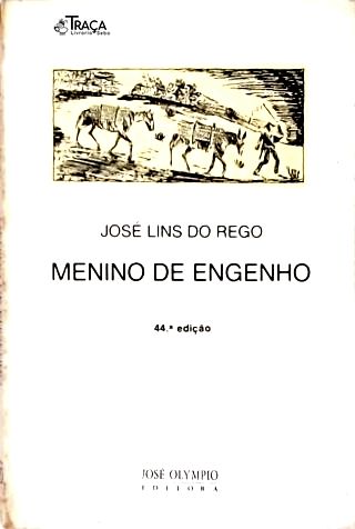 Menino de Engenho
