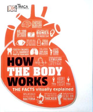 How The Body Works