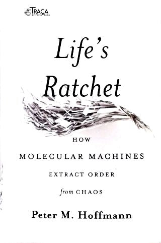 Lifes Ratchet: How Molecular Machines Extract Order From Chaos