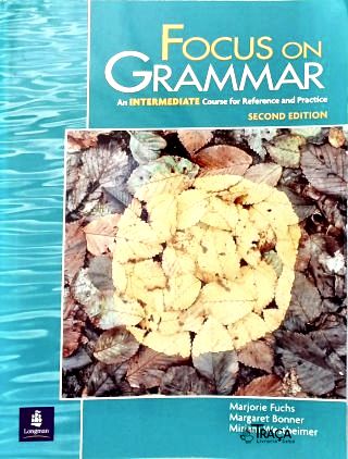 Focus On Grammar