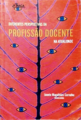 Diferentes Perspectivas da Profissão Docente Na Atualidade