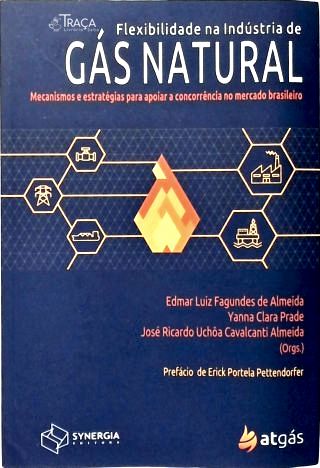 Flexibilidade Na Indústria do Gás Natural