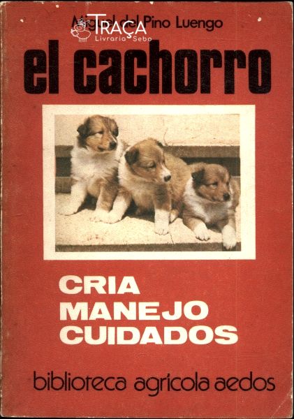 El Cachorro