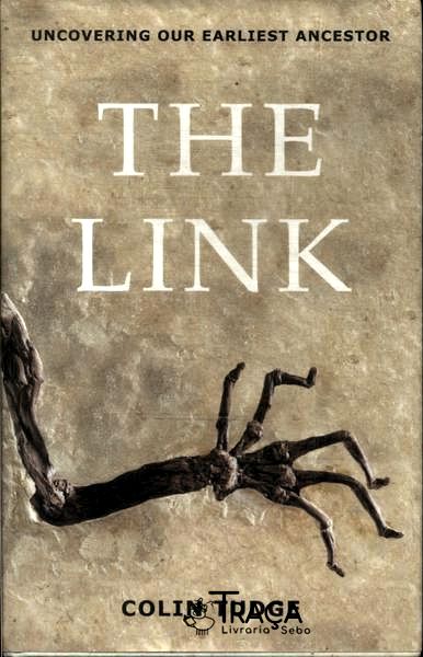 The Link