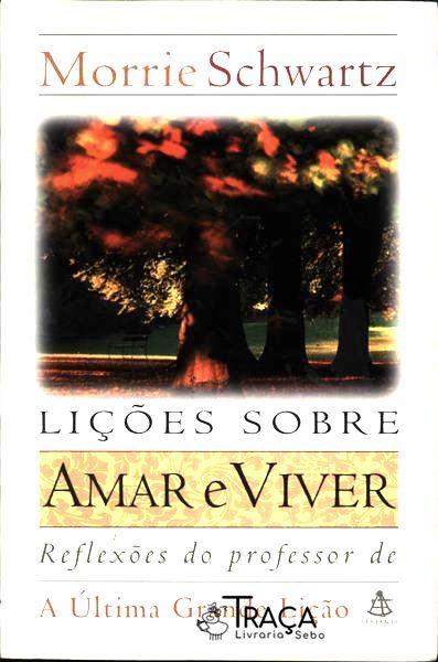 Lições Sobre Amar e Viver