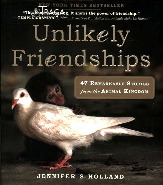 Unlikely Friendships