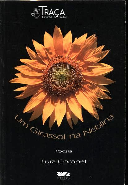 Um Girassol Na Neblina