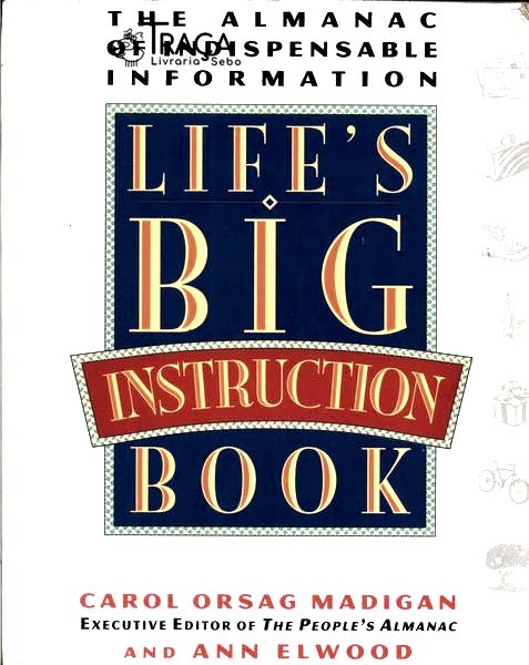Lifes Big Instruction Book