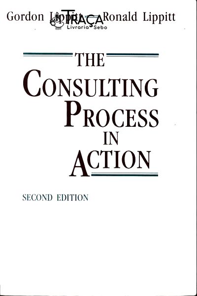 The Consulting Process In Action