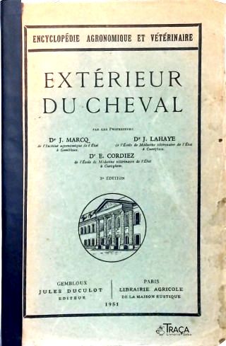 Extérieur Du Cheval
