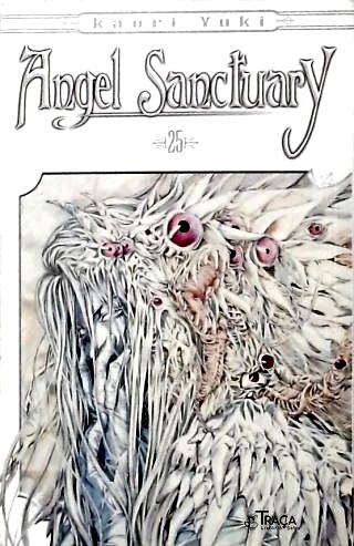 Vol. 25 - Angel Sanctuary