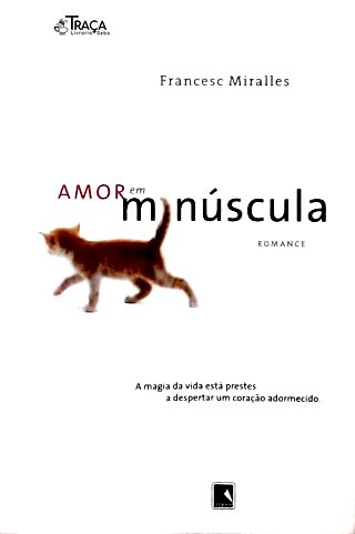 Amor Em Minúscula