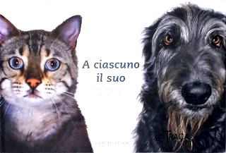 A Ciascuno il Suo: La Differenza tra Gatti e Cani